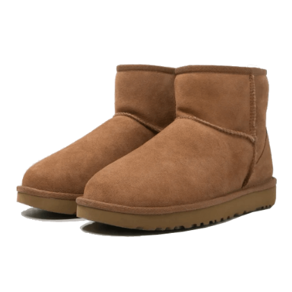Women's Boots with Warm Lining - Chestnut